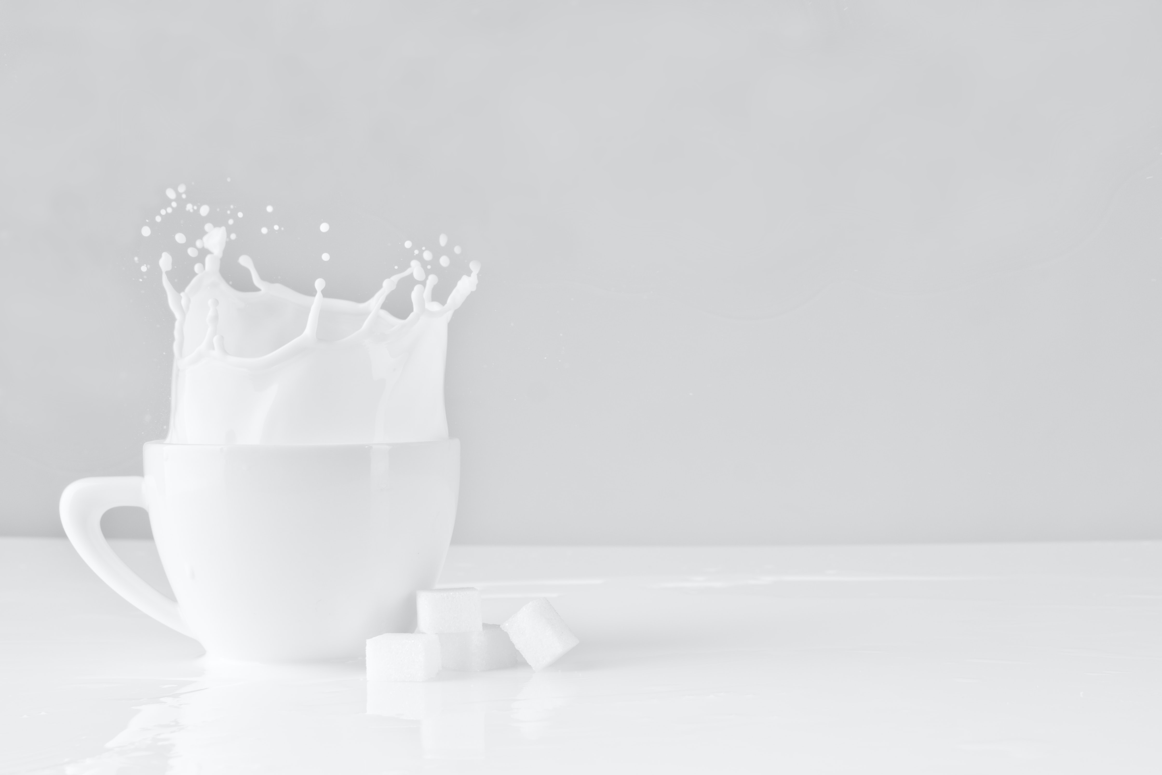 All Your Dairy Needs